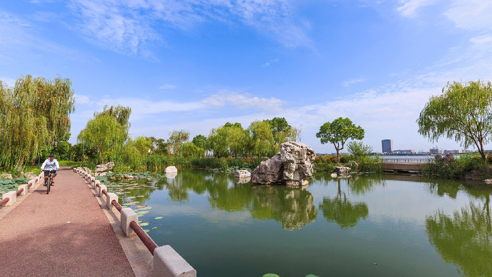 头条新闻！谁知道郭巷姜庄鸡窝哪里？附近居民与真实探访经验分享