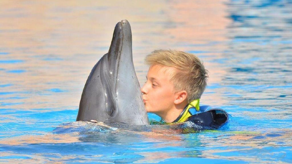 语言矫正中心：海豚能帮助自闭症孩子开口吗？