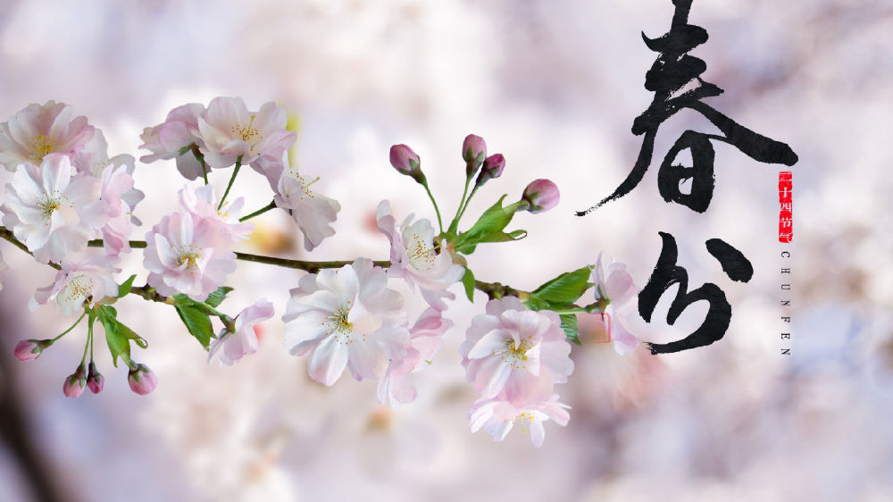 春分:标志春天到来的重要节气,一个充满生机和希望的节气|摇滚狂花|中国|一天|健康|身体_新浪新闻