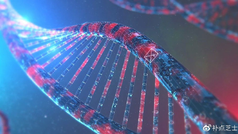 什么是分子生物学？分子生物学发展简史|化学|生物学与医学|DNA|RNA|诺贝尔化学奖_新浪新闻