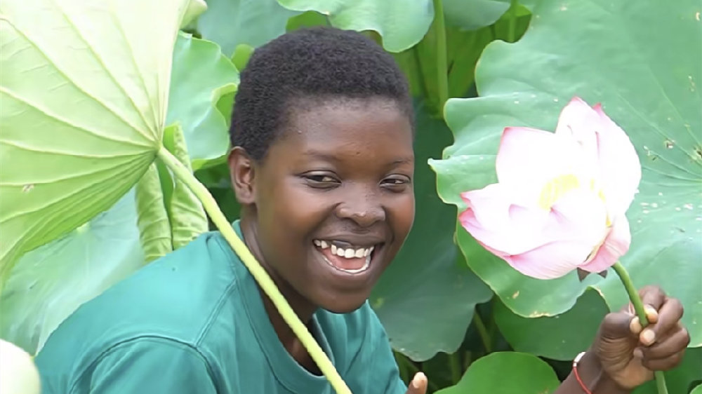 愤怒的小鸟电脑版下载方法 丰田三款10万以内车型推荐