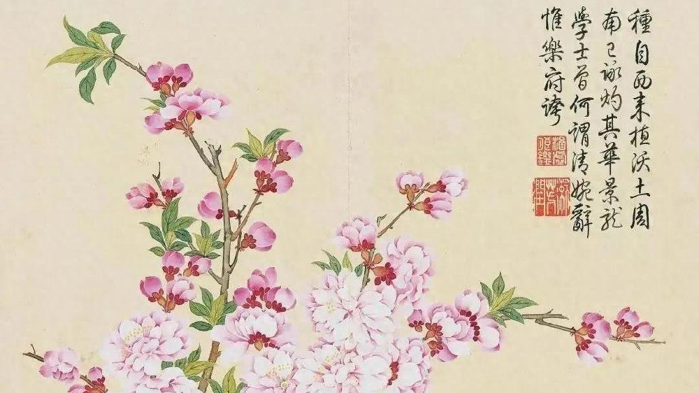 精美的宋代及清代折枝花鸟作品欣赏|花鸟|构图|唐代|朱景玄|边鸾_新浪新闻
