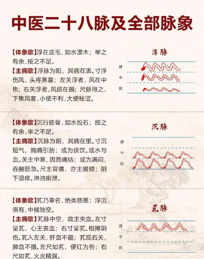 中医二十八脉及全部脉象_新浪新闻