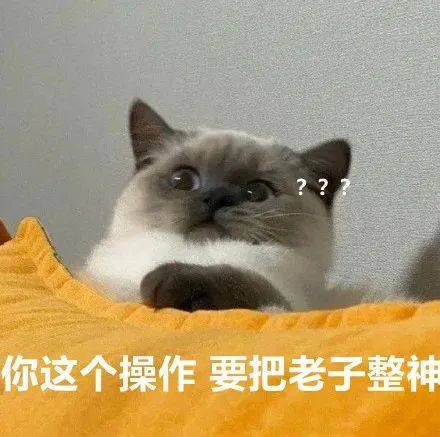 表情包你看我像开心的样子吗拿图点赞吱声