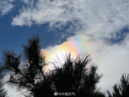 北京天空现日华奇观你看到了吗?