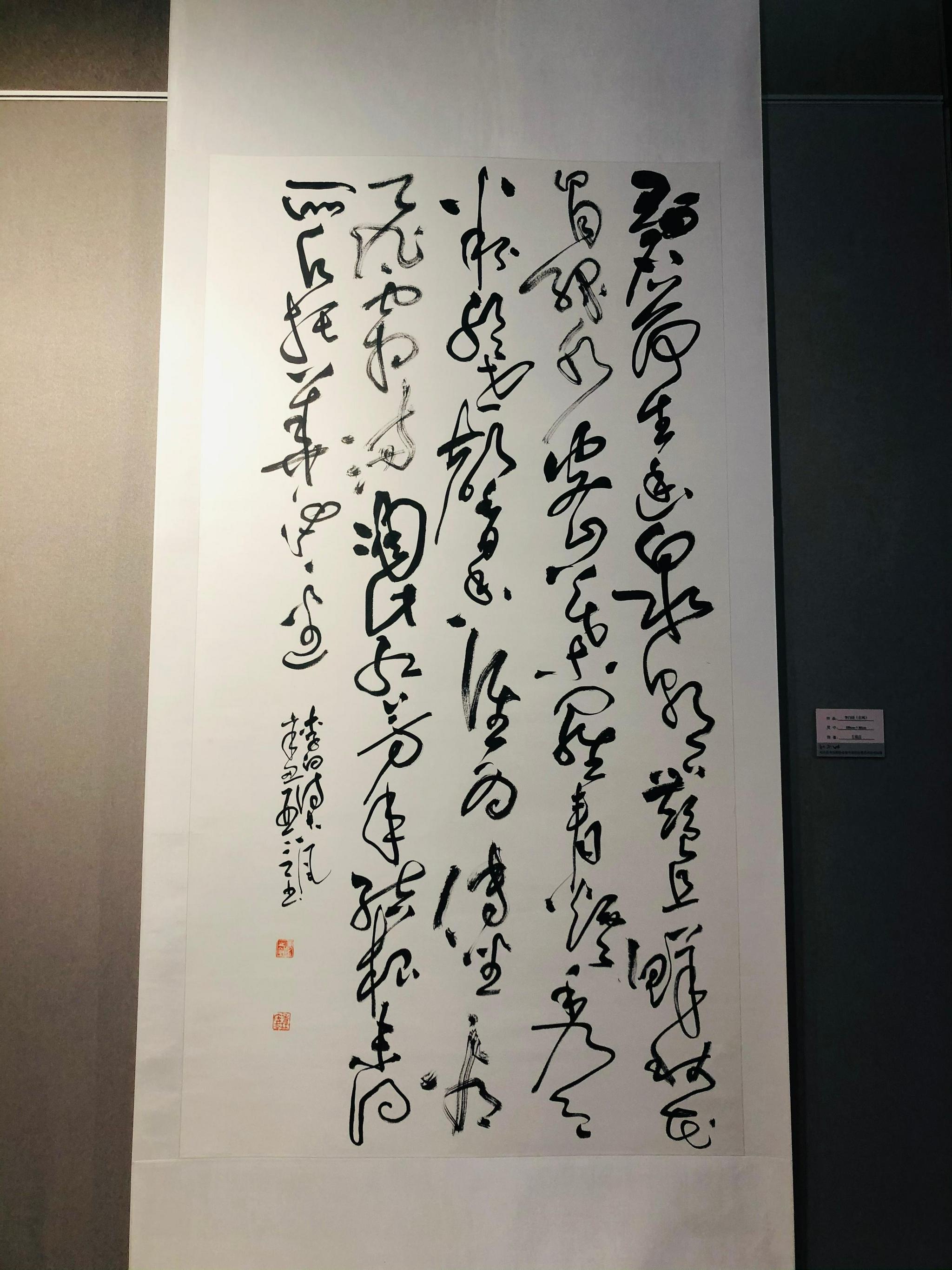 于似不似间品草书之美松江书法家协会举办草书书法作品展