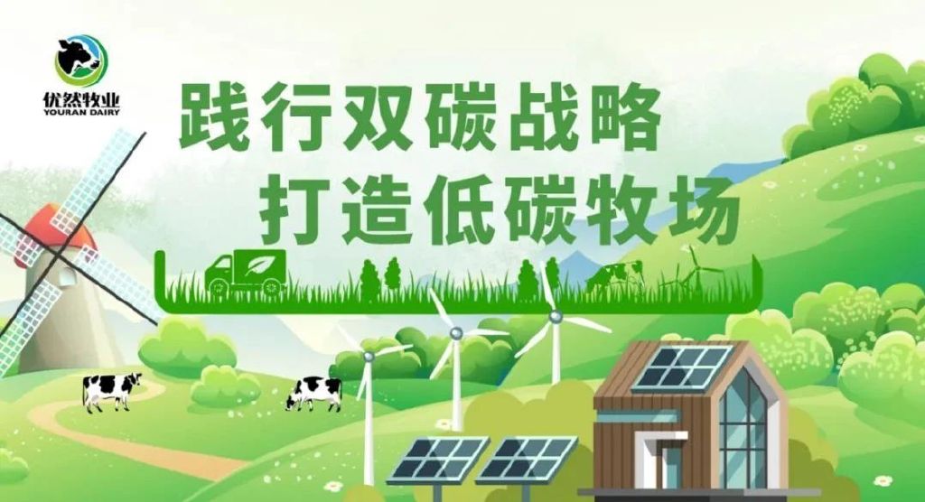 棚顶光伏棚内养牛优然牧业牧光互补如何实现绿色经济