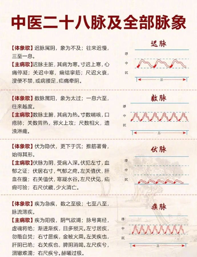 中医二十八脉及全部脉象_新浪新闻