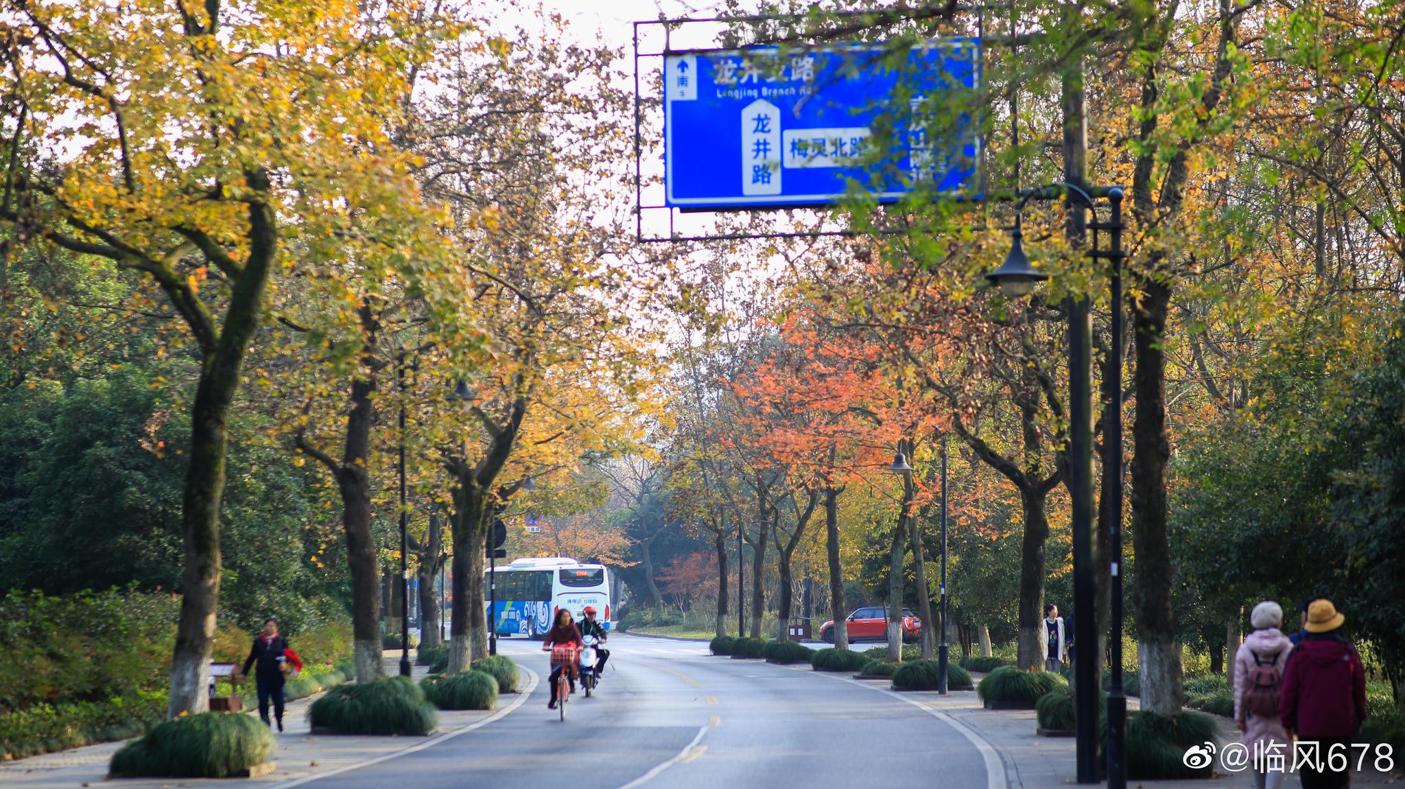 醉美杭州龙井路秋色