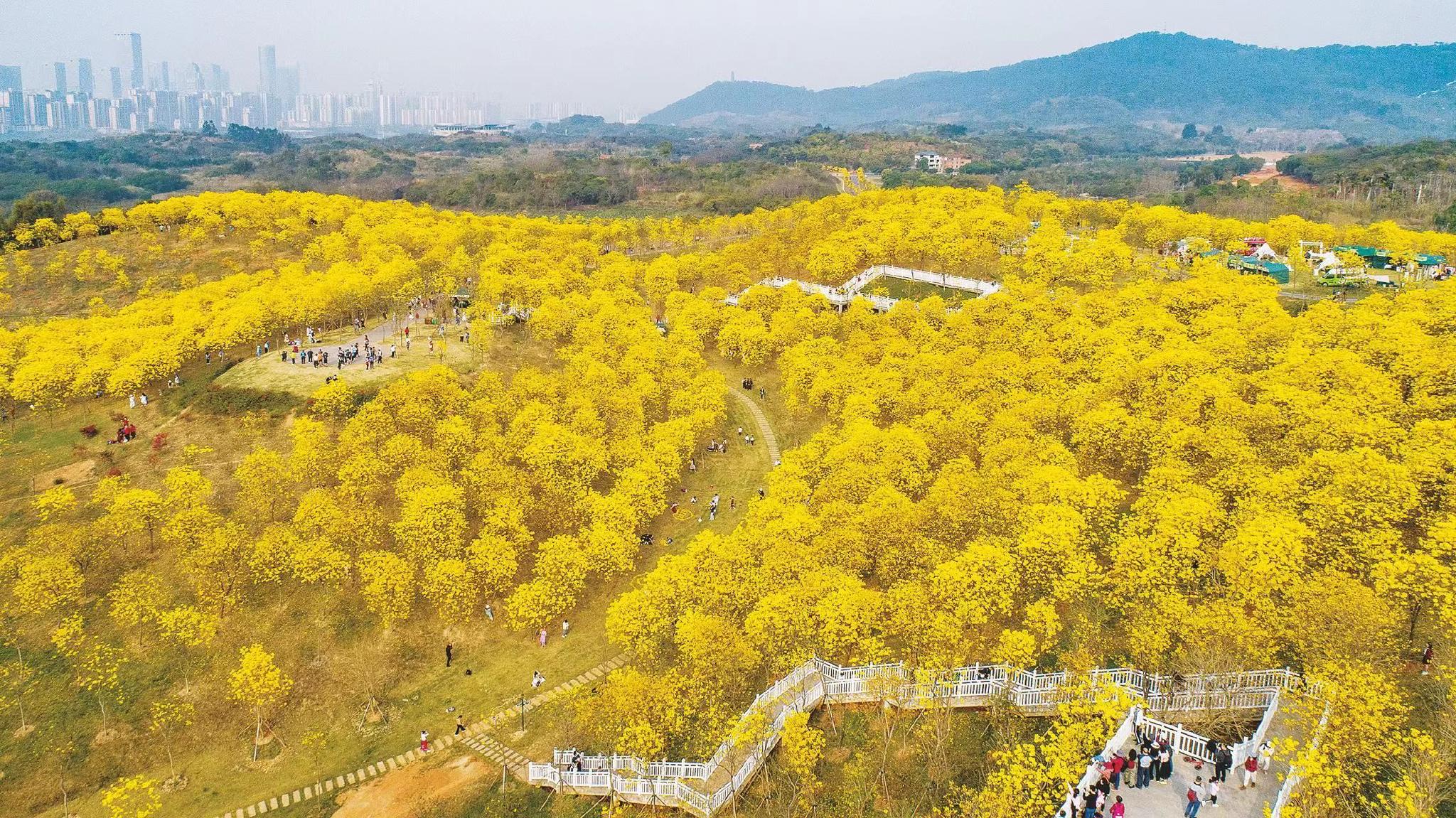 南宁市探索“公园+”模式建设宜居绿城