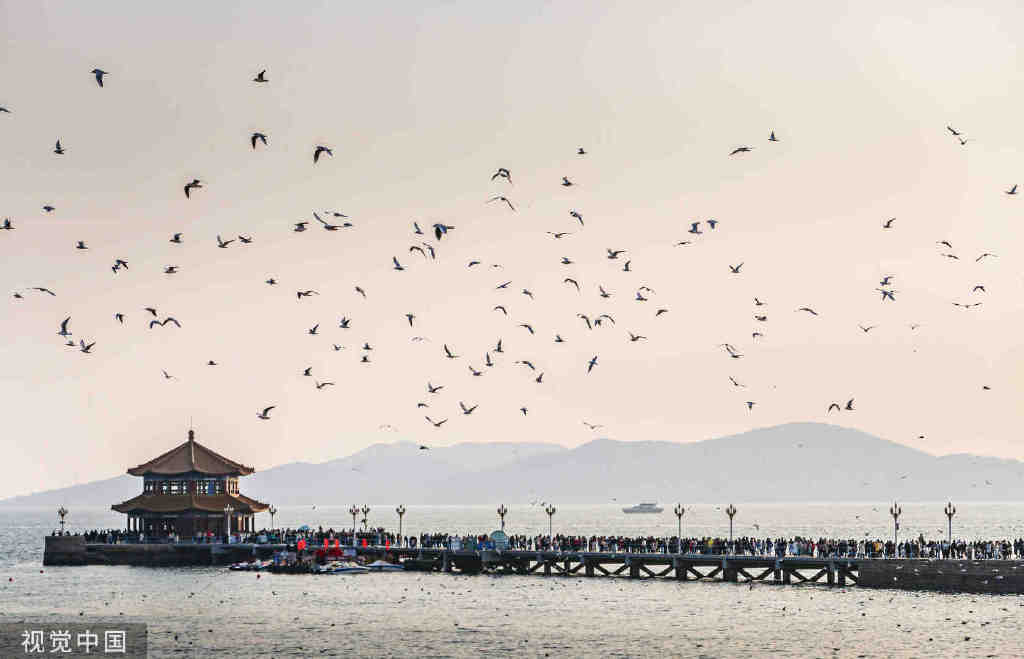 好客山东这十年休闲区蓝鸢梦想 - Www.slyday.coM