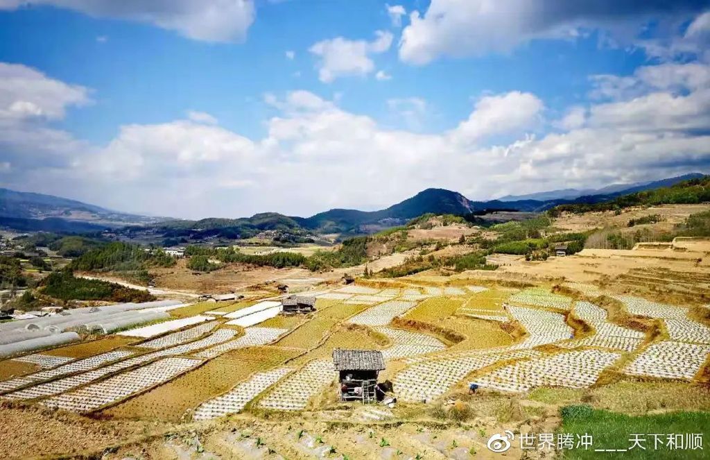 五合禮讚我對這土地愛得深沉