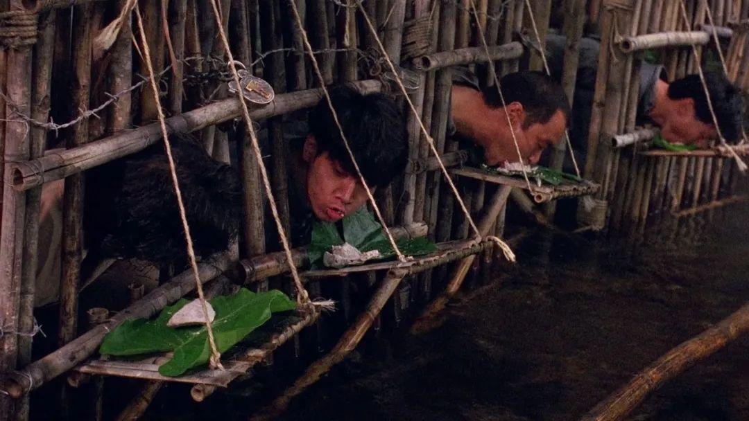 爱人同志香港记者在越南被关水牢吃饭像狗一样这片残酷