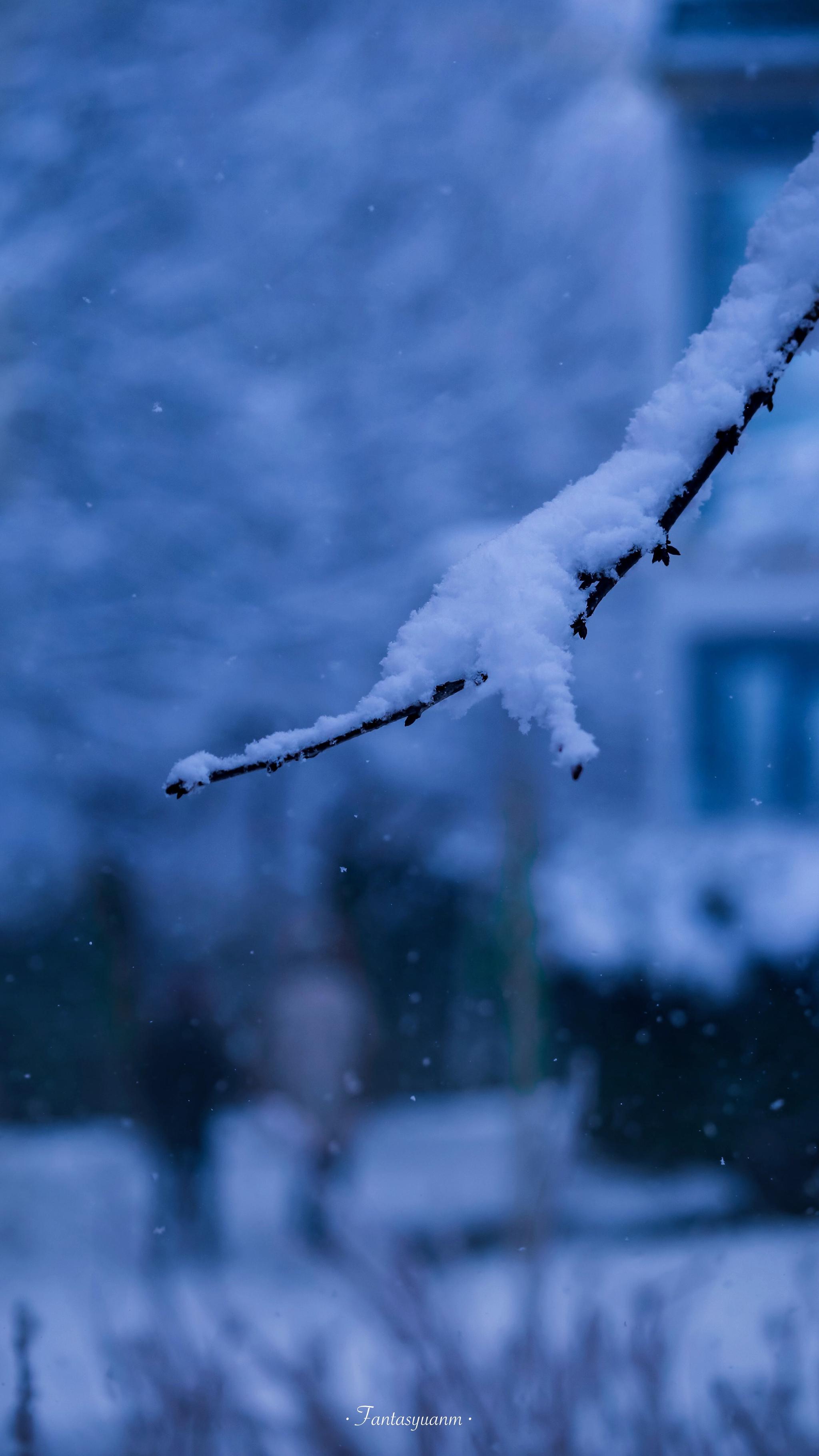 「 月色和雪色之间 你是第三种绝色 」