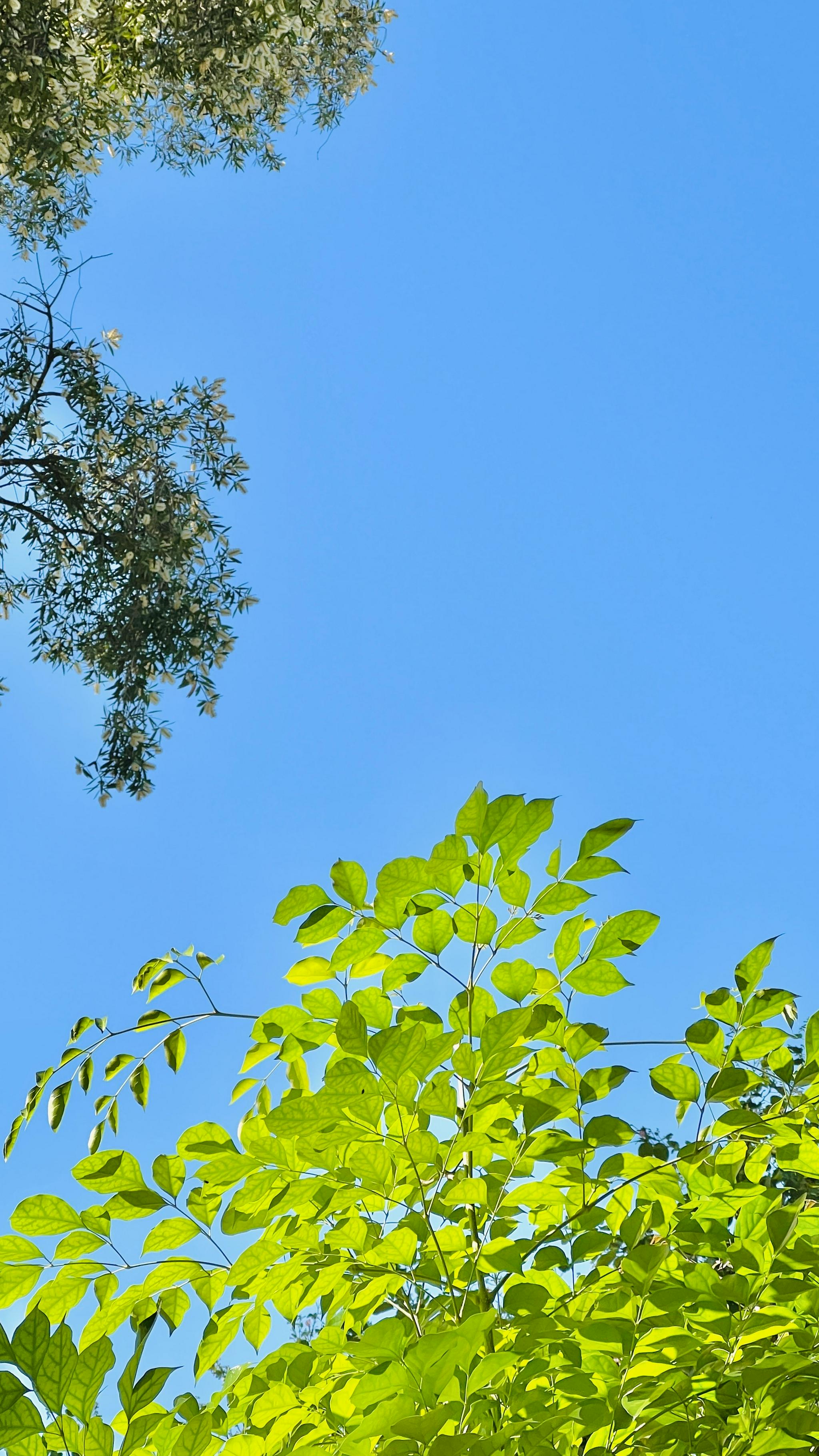 一些阳光碎片 不要辜负每一个晴天