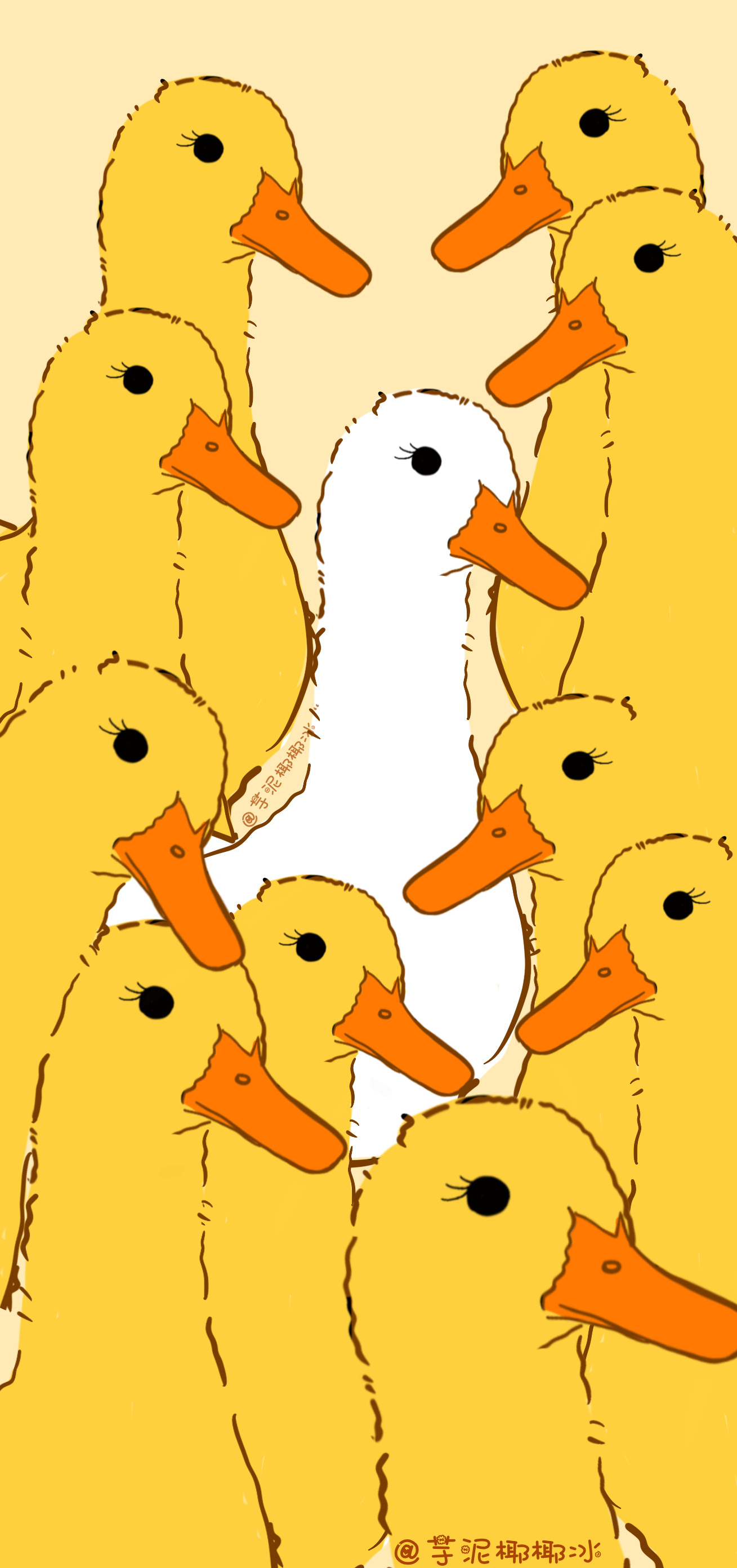 当你刷到这组鸭鸭壁纸你已经幸运起来了