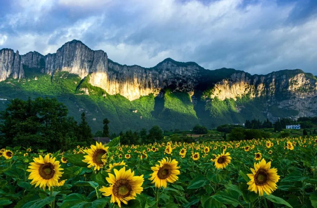 我承认，我被这样的恩施秋色迷住了休闲区蓝鸢梦想 - Www.slyday.coM