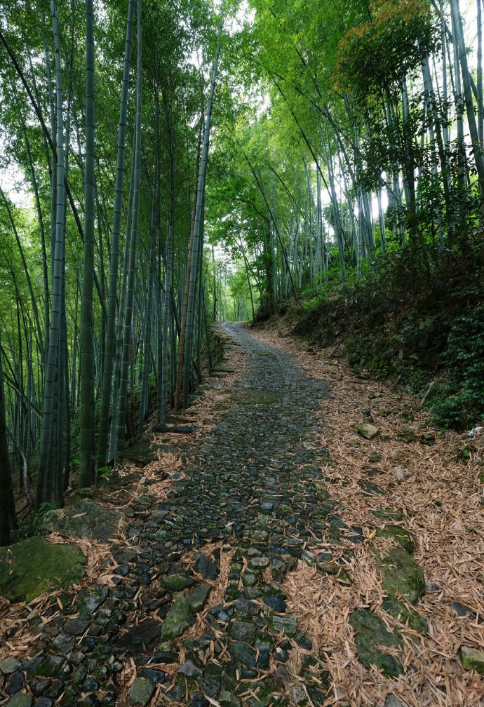 宁波秋日登高月宫山古道__财经头条