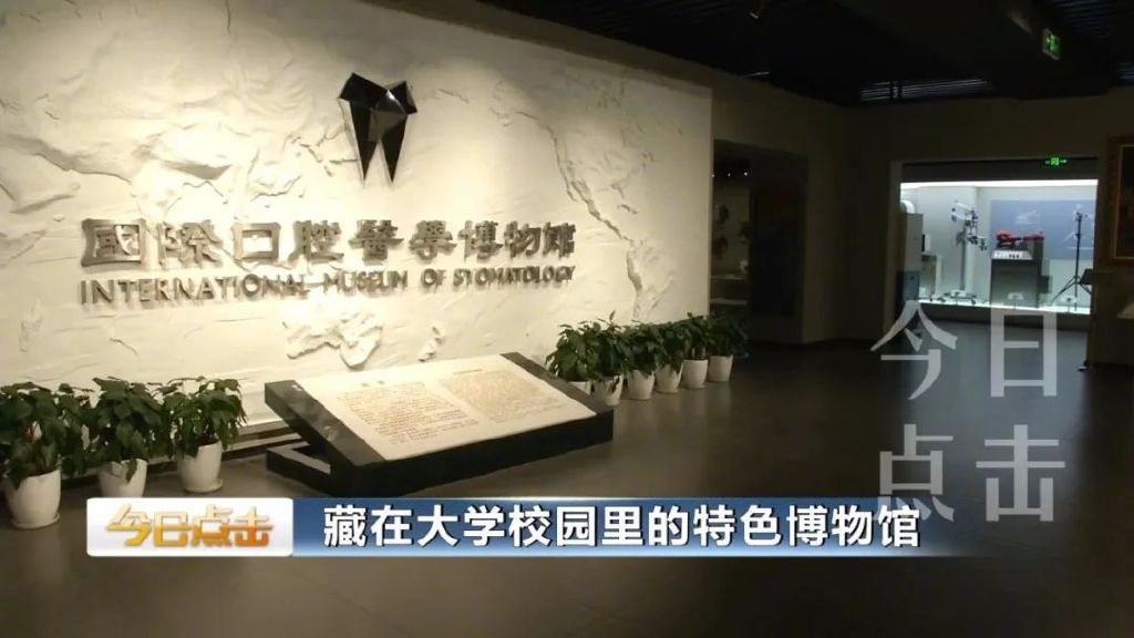 走进这些藏在大学校园里的博物馆，您一定会有不小的收获！休闲区蓝鸢梦想 - Www.slyday.coM