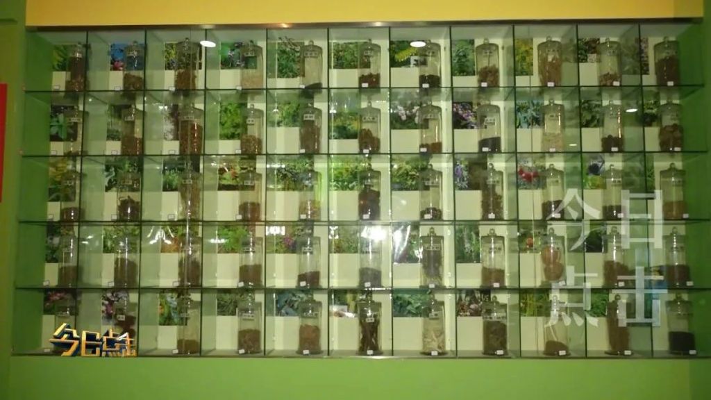 走进这些藏在大学校园里的博物馆，您一定会有不小的收获！休闲区蓝鸢梦想 - Www.slyday.coM