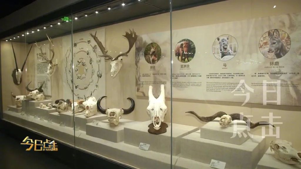 走进这些藏在大学校园里的博物馆，您一定会有不小的收获！休闲区蓝鸢梦想 - Www.slyday.coM