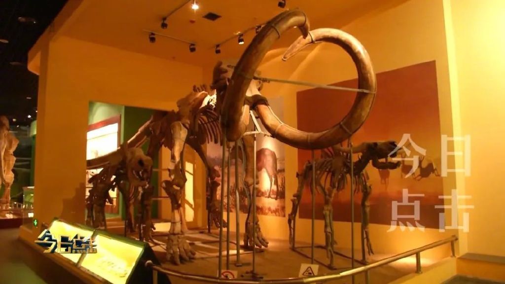 走进这些藏在大学校园里的博物馆，您一定会有不小的收获！休闲区蓝鸢梦想 - Www.slyday.coM