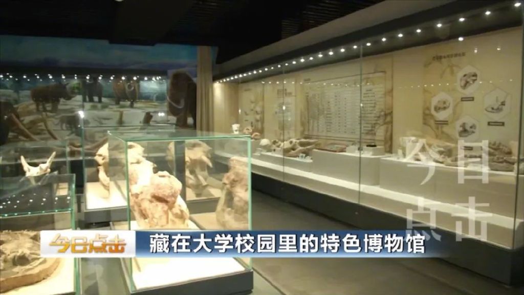 走进这些藏在大学校园里的博物馆，您一定会有不小的收获！休闲区蓝鸢梦想 - Www.slyday.coM