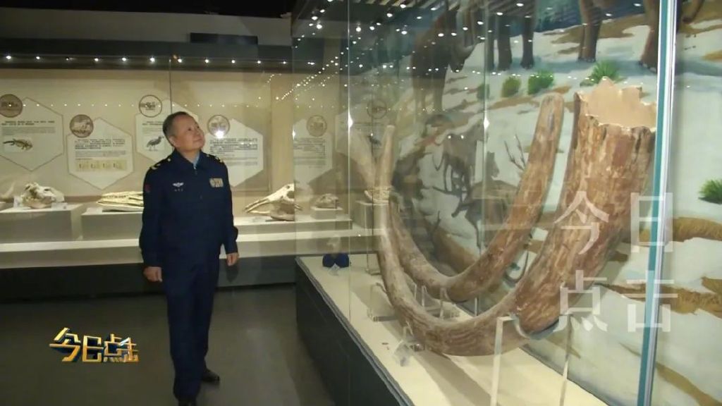 走进这些藏在大学校园里的博物馆，您一定会有不小的收获！休闲区蓝鸢梦想 - Www.slyday.coM