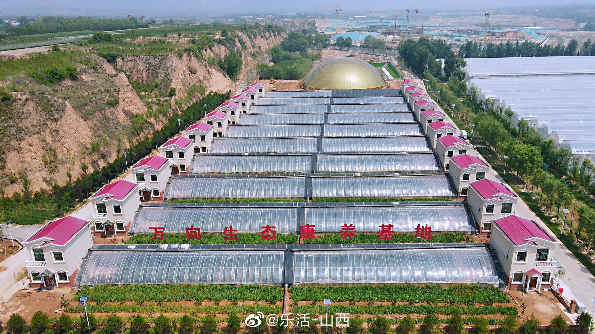 太原阳曲有个大型生态园,葡萄超甜,别墅超美__财经头条