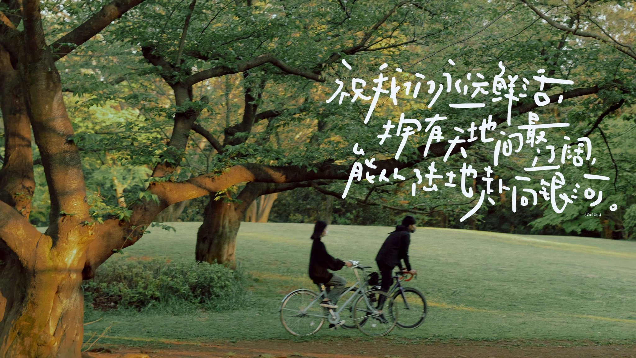 文字ipad电脑壁纸