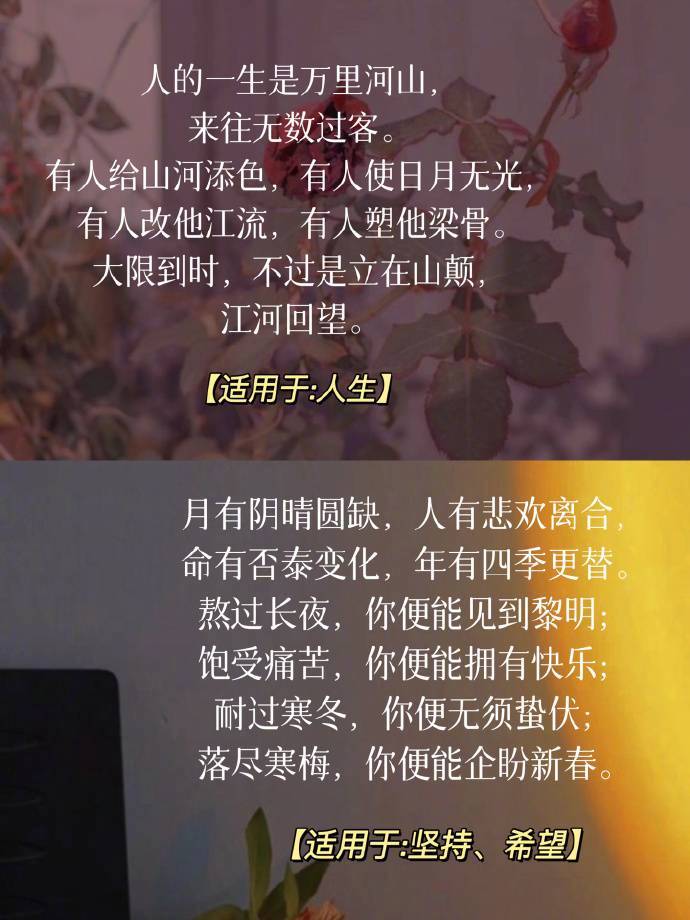 仁医完结篇