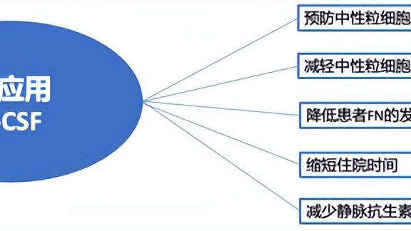 第三代长效G-CSF有望为中国乳腺癌患者带来福音！|甲状腺乳头状癌|癌症|肿瘤|g-csf|粒细胞_新浪新闻