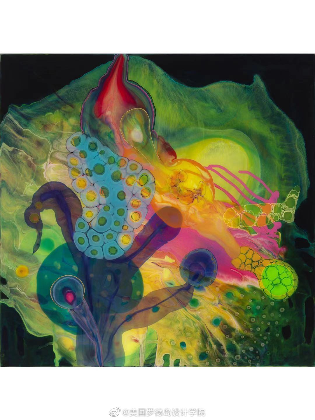 美国艺术家burce riley用颜料和树脂创作的迷幻插画