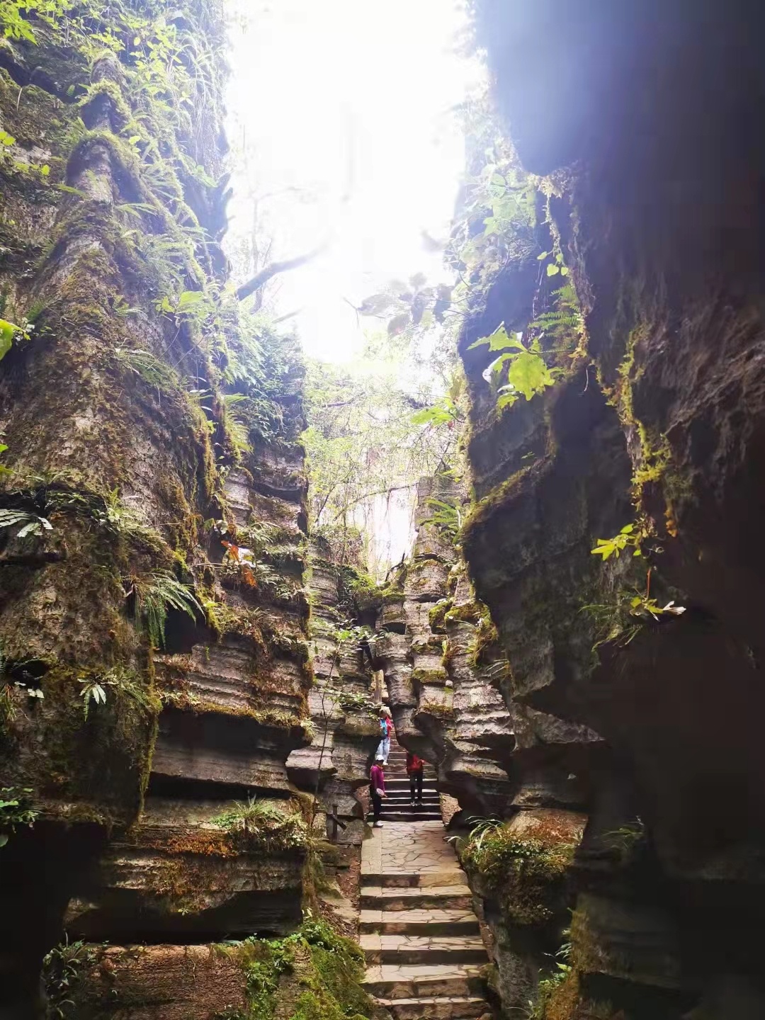 梭布垭石林景区介绍(恩施梭布垭石林景区门票)