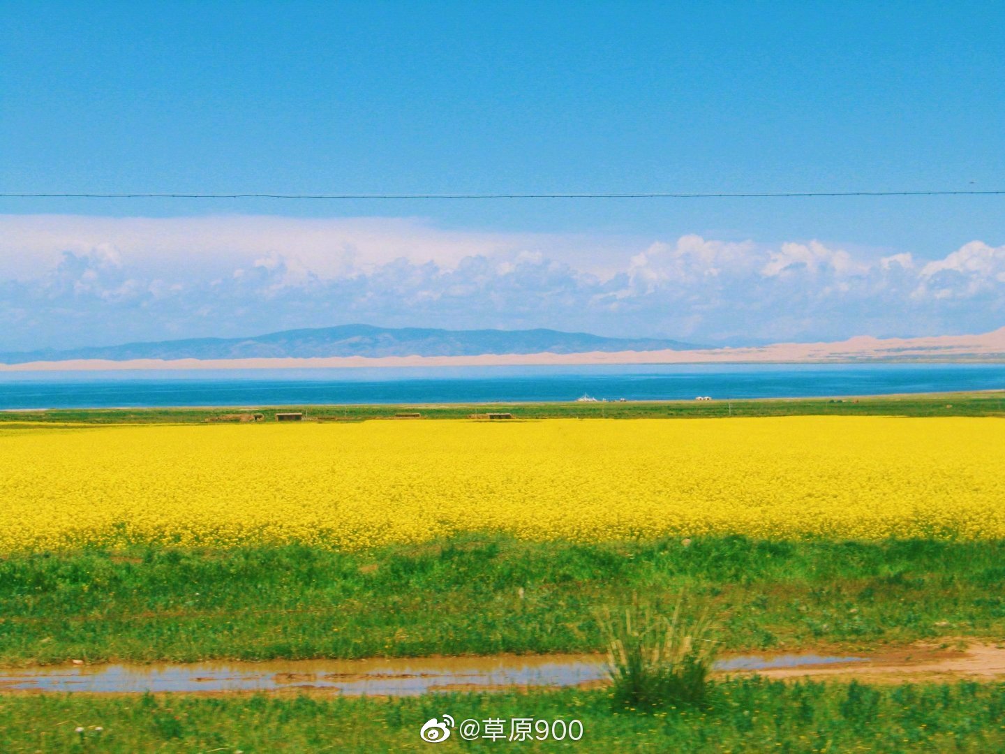当下除了复工复产,也可以跨省旅游了,出发啦,青藏高原最美的季节_高清