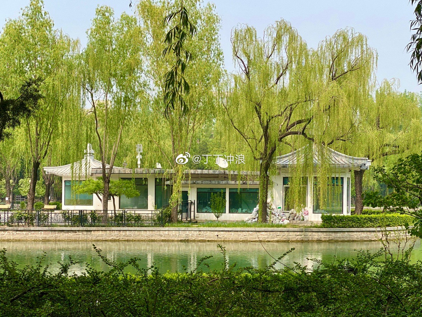 北京青年湖公园掠影 摄影