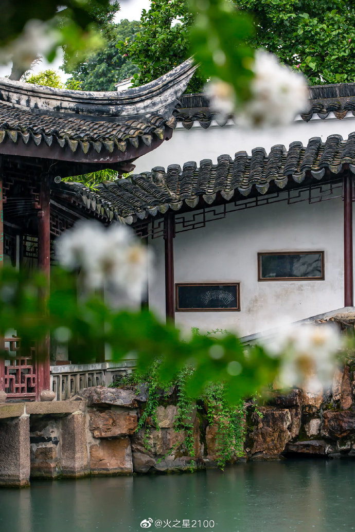 夏日寻芳 • 苏州网师园_高清图集_新浪网