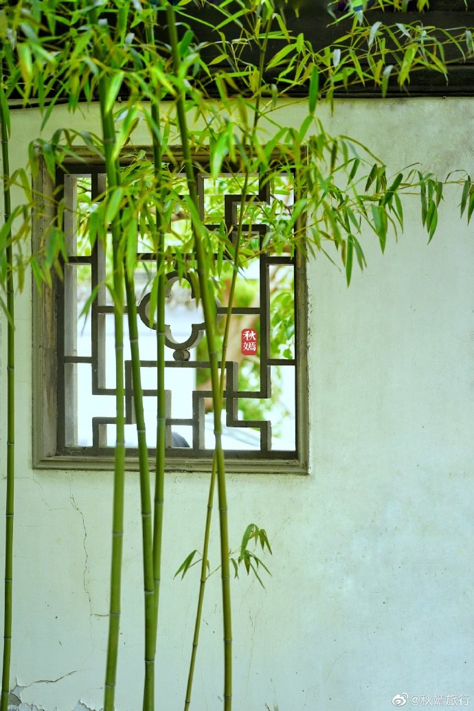 园林里的翠竹成了主角,修长的竹子点缀在不经意的地方.