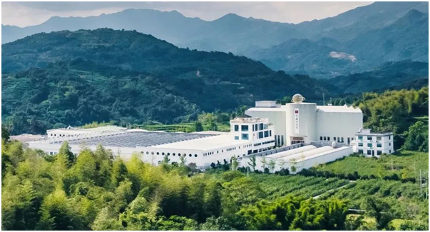 中国白茶窖位于六妙白茶庄园,是国内首个自然干仓理念的原产地标准