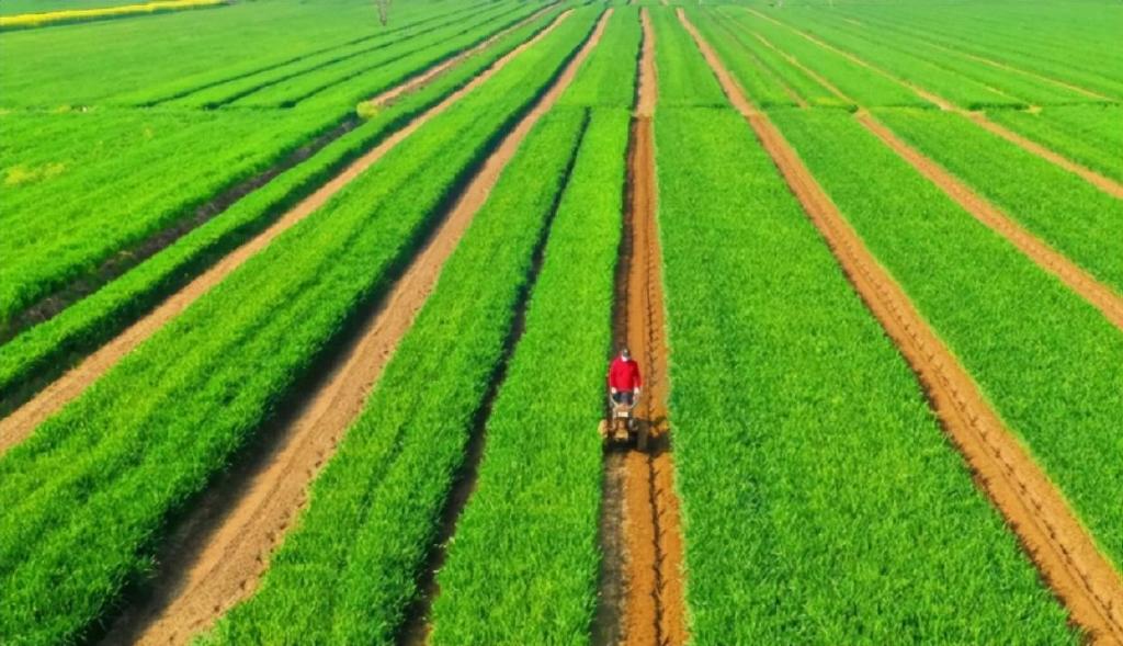 未来农业新形态 垂直农场如何改变传统农业