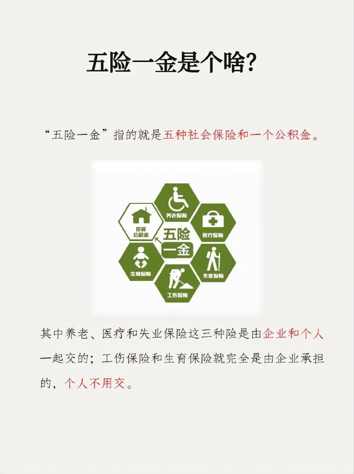 五险一金有什么用?一起来科普__财经头条