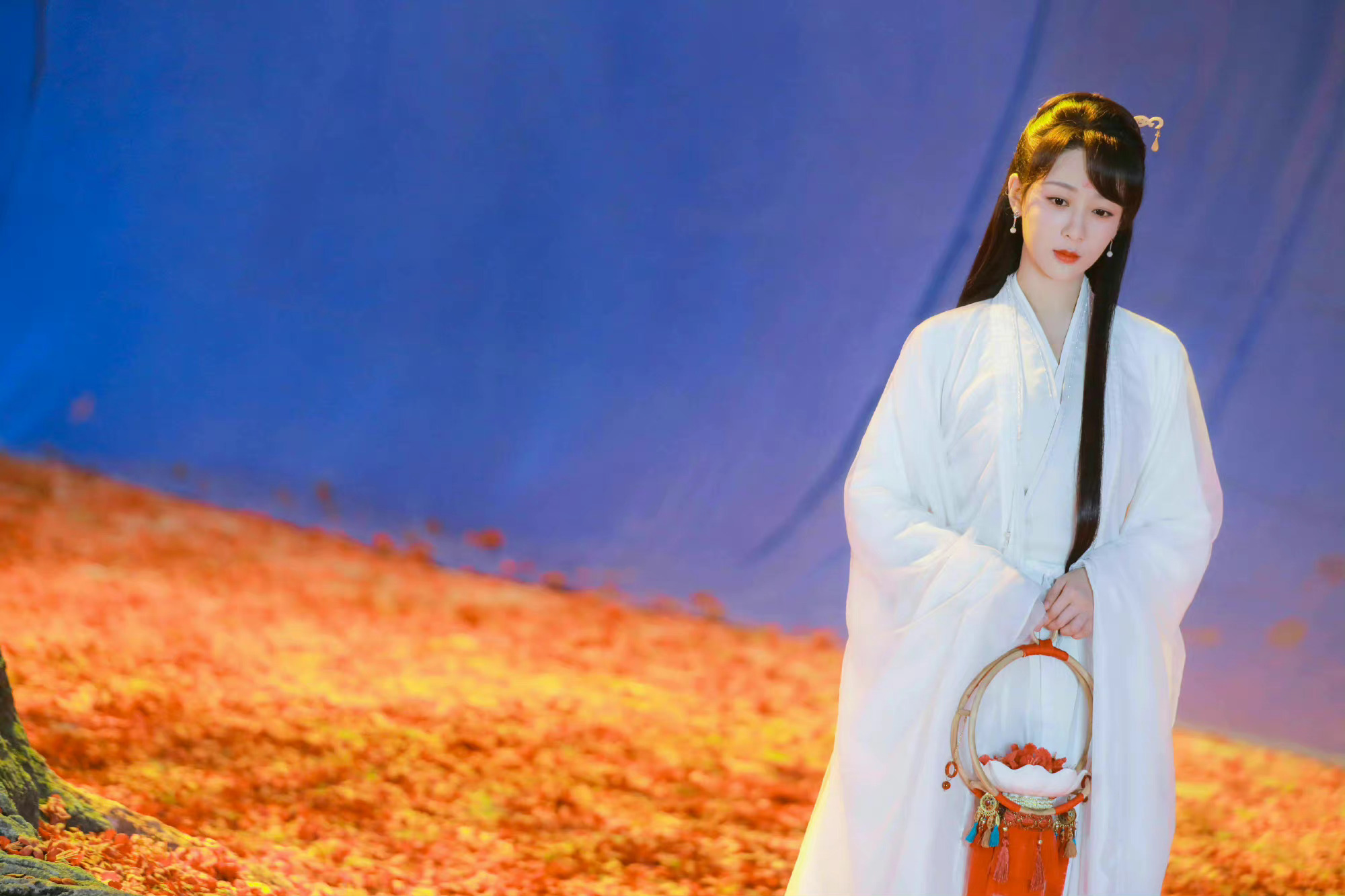 杨紫工作室连更两条来看看杨紫小夭白衣花絮碎片67好美好温柔