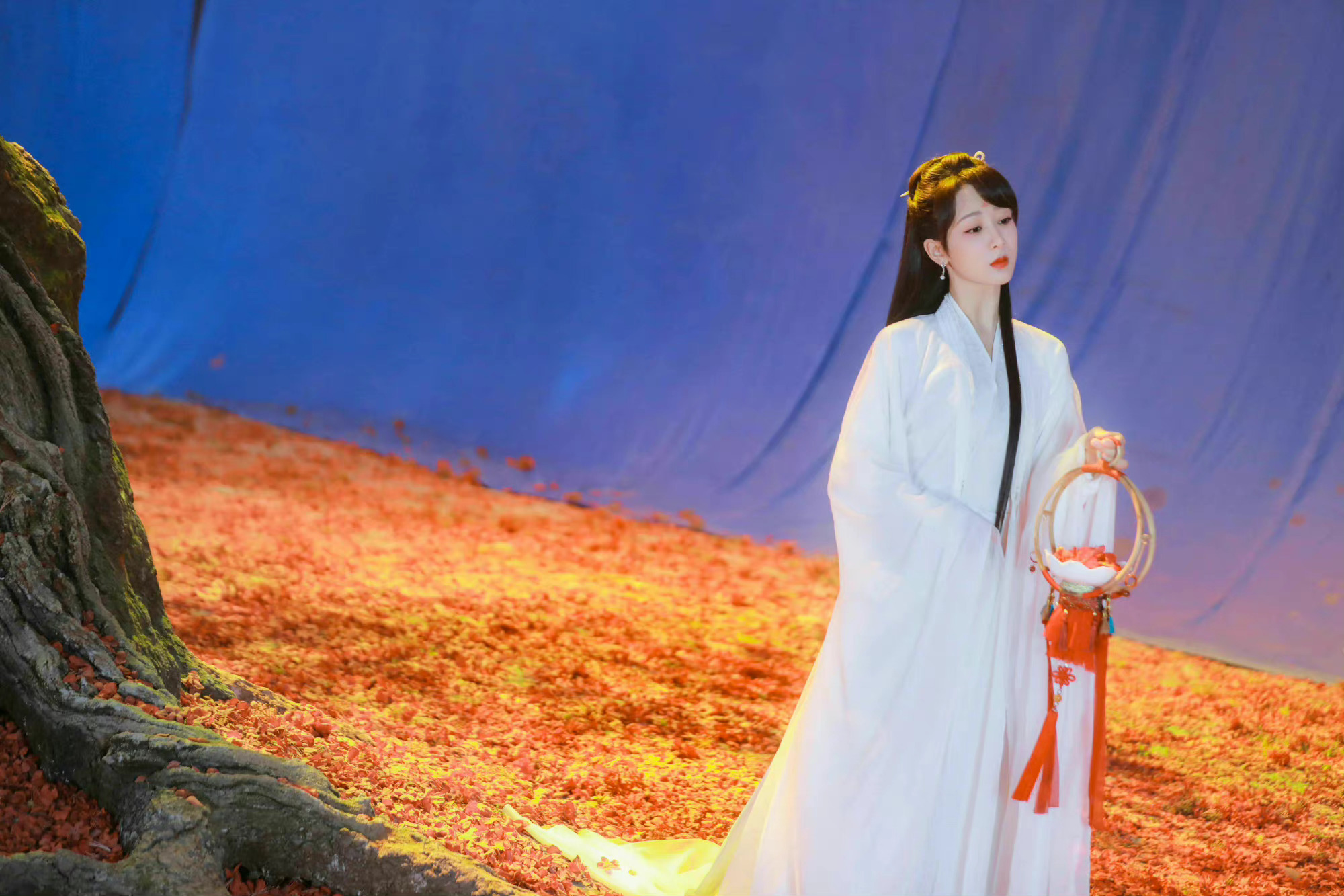 杨紫工作室连更两条来看看杨紫小夭白衣花絮碎片67好美好温柔