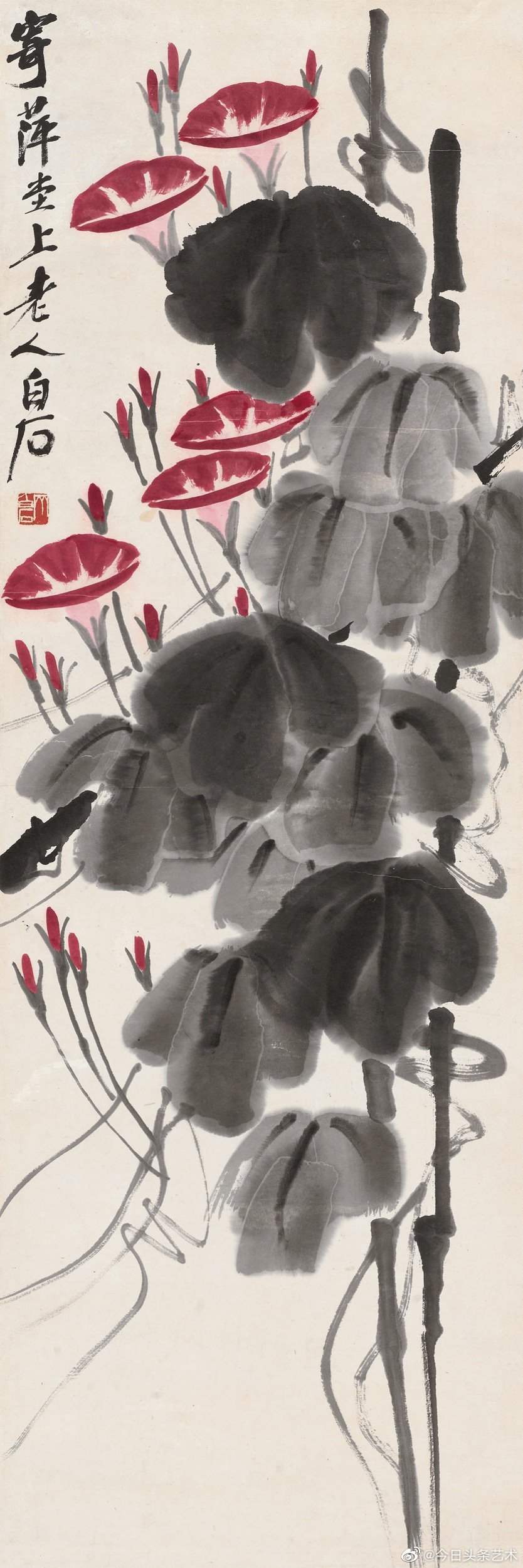 齐白石笔下的牵牛花