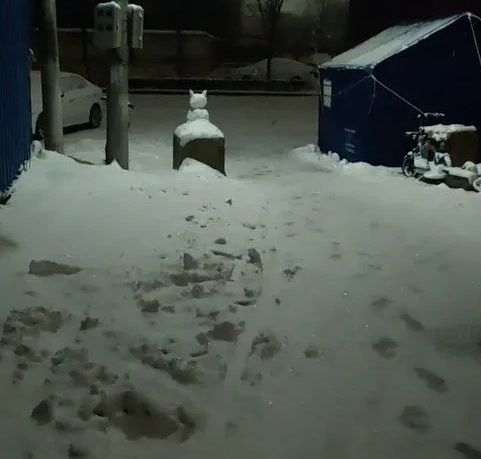 缺乏人情！河南一高中生回家被拦防疫卡点，母女俩大雪中冻一夜休闲区蓝鸢梦想 - Www.slyday.coM