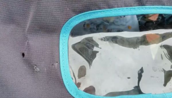 高空扔烟头烫穿婴儿车，民警喊话所有人验DNA，有人自首了！休闲区蓝鸢梦想 - Www.slyday.coM