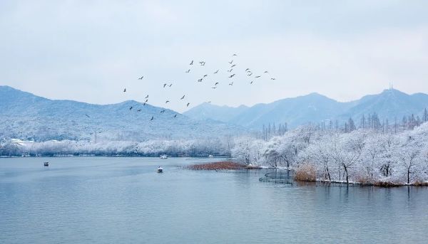 哈尔滨因暴雪22日暂停线下教学！今日小雪节气，陕西……休闲区蓝鸢梦想 - Www.slyday.coM