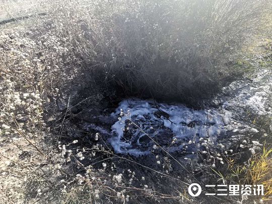 宜兴seo优化公司