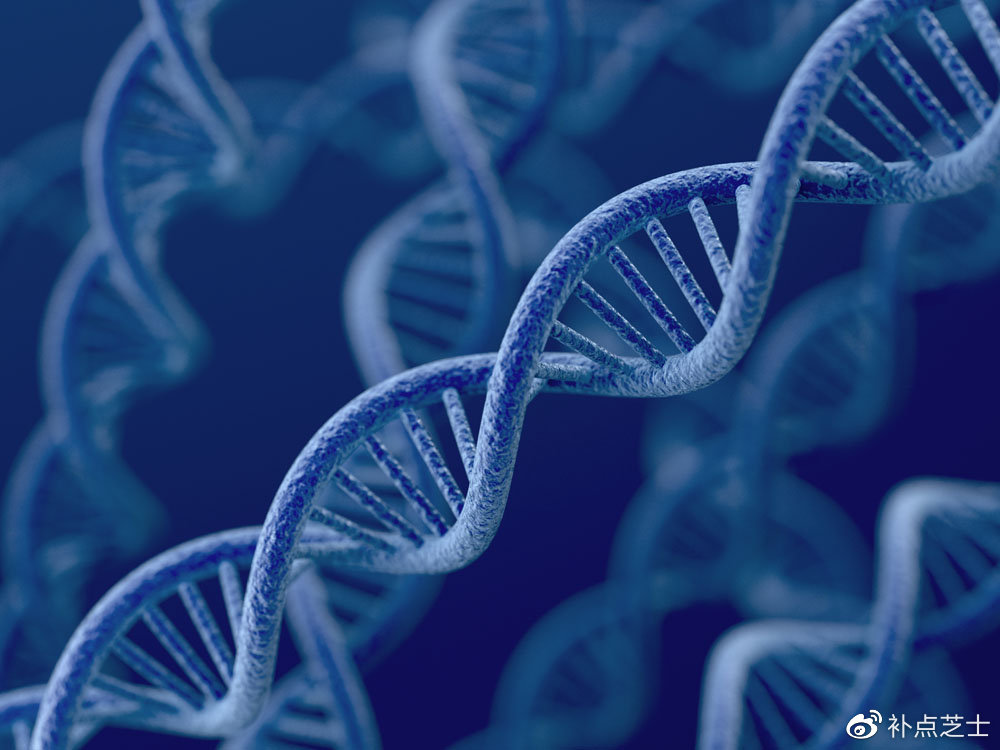 DNA有哪几种二级结构?DNA双螺旋结构是谁发现的?|氢键|碱基|生物学与医学|碱基对|序列_新浪新闻