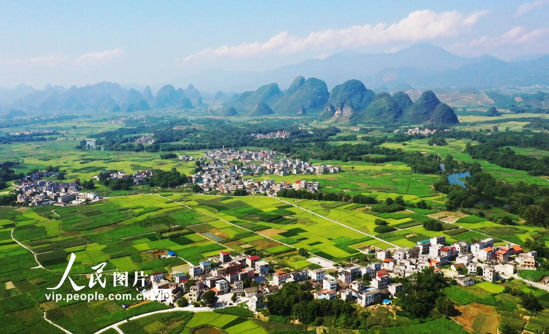 广西罗城:金秋田园 如诗如画|广西|河池市|罗城仫佬族自治县_新浪新闻